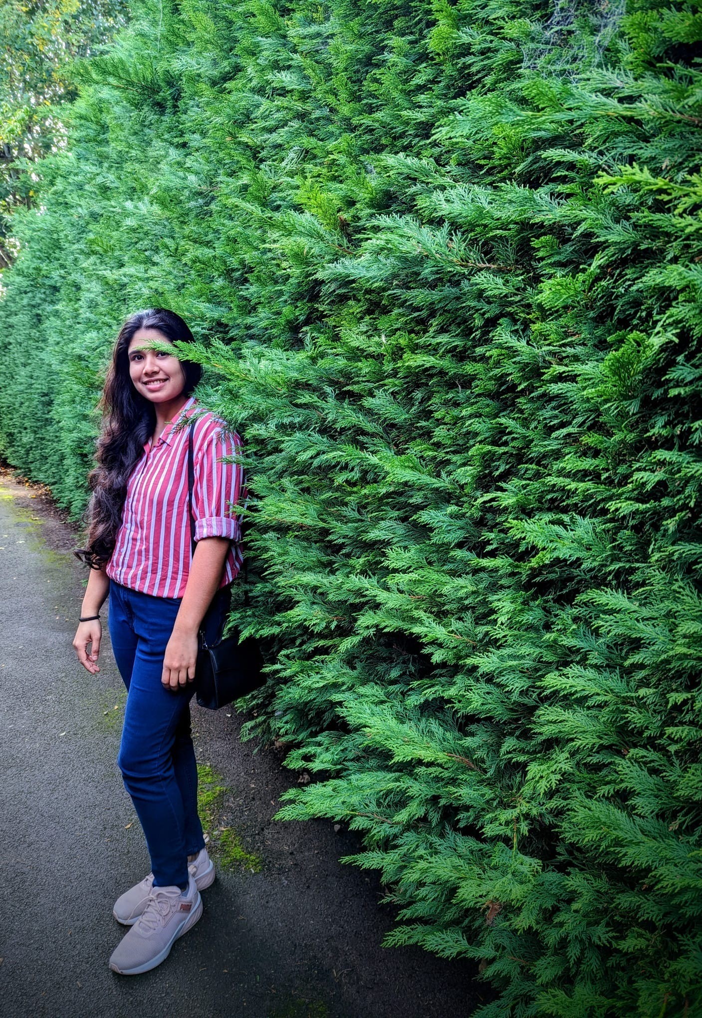 Analyst Matrimony Bride, customer reference - UK2025553610